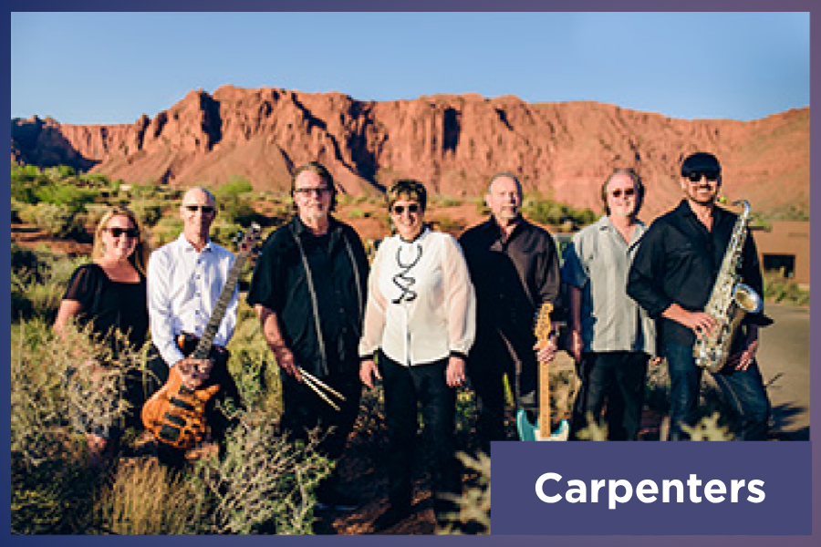 Carpenters Platinum