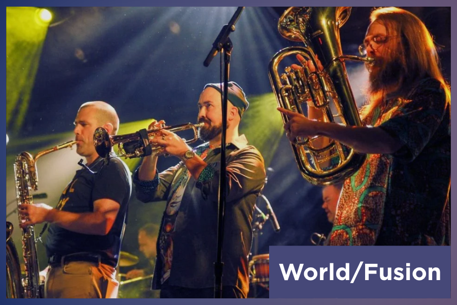 Afrosonics