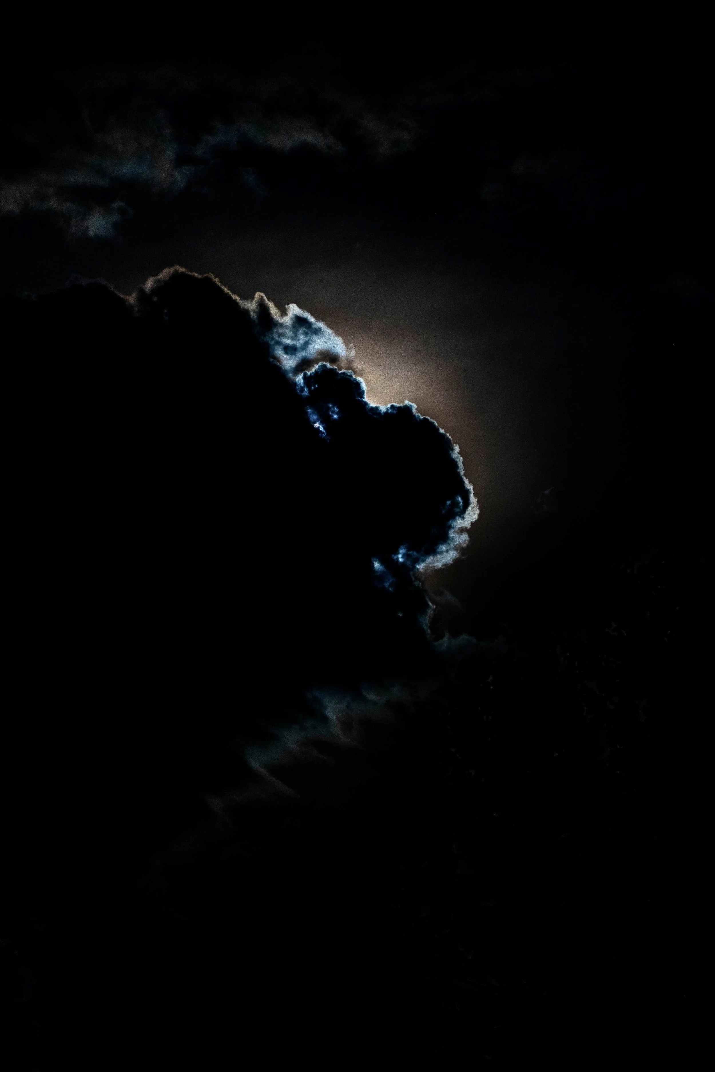 20220416-DSC00031 2.jpg