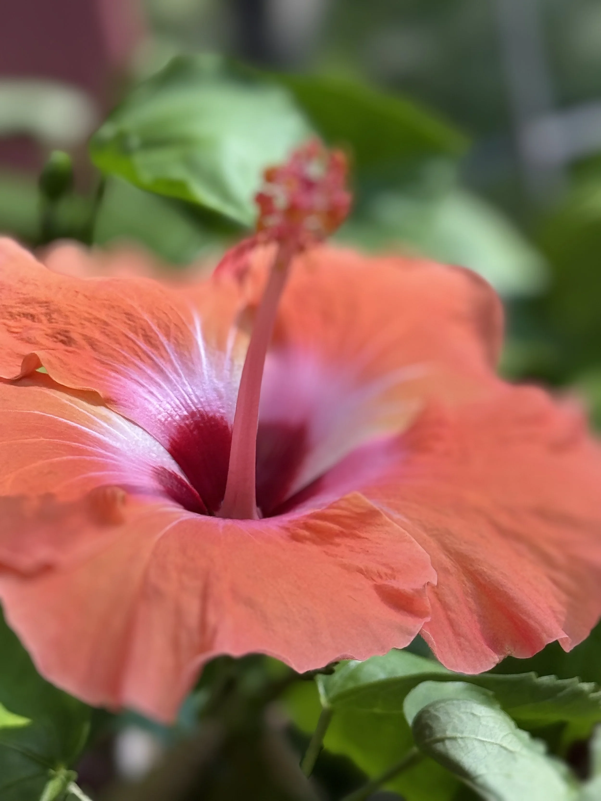 Yoga for Injury and Recovery