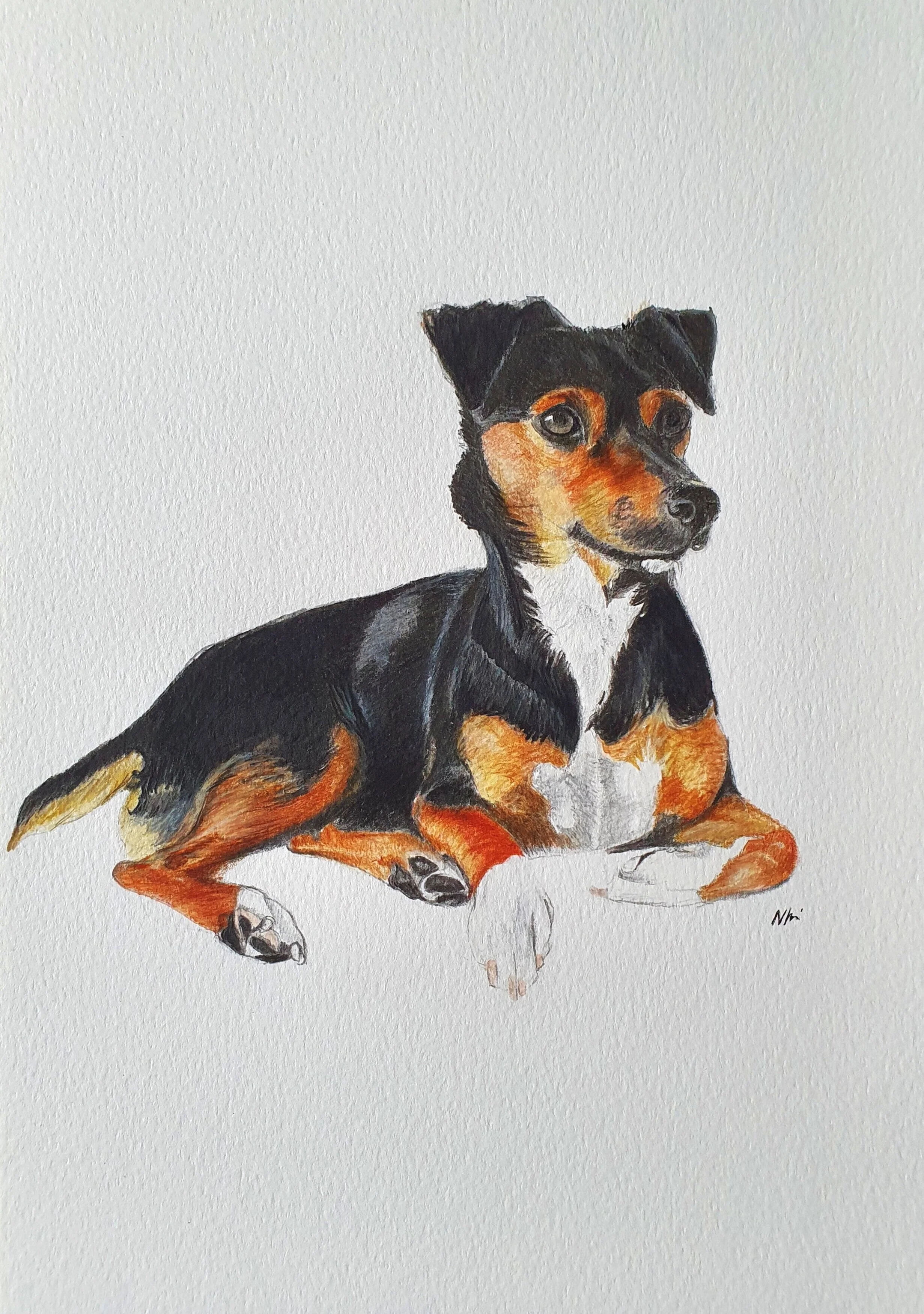 'Lola'
Watercolour on Watercolour Paper
A4
Private Commission