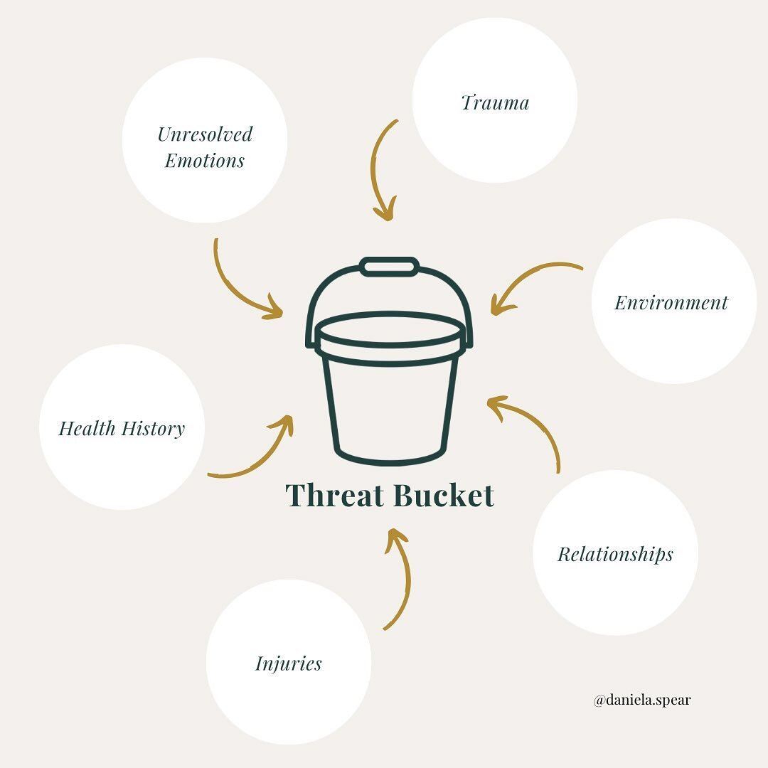The Threat Bucket has helped me to see that when I experience symptoms, it doesn&rsquo;t mean anything is wrong with me. Rather it is an invitation into a conversation with my body in how I can support it 🫶🏼

Everything in the body and everything t