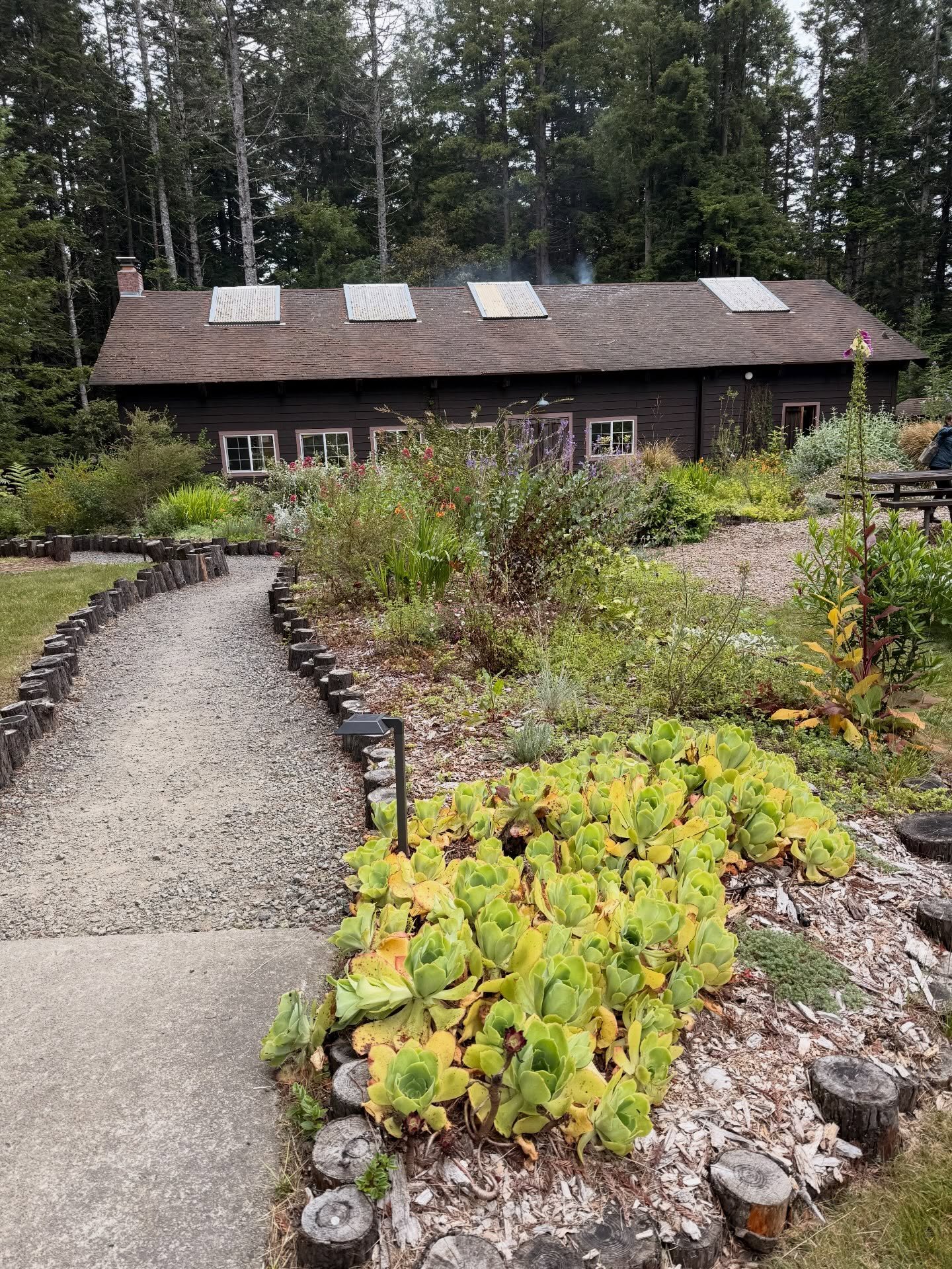 MENDOCINO, CA ✨ Yoga and Meditation Retreat with @108yogalove 

I spent a week in the Redwoods of Northern California on first yoga and meditation retreat. I was fully prepared for the yoga, the community, fun vibes, and all the nature 🌲

What I did
