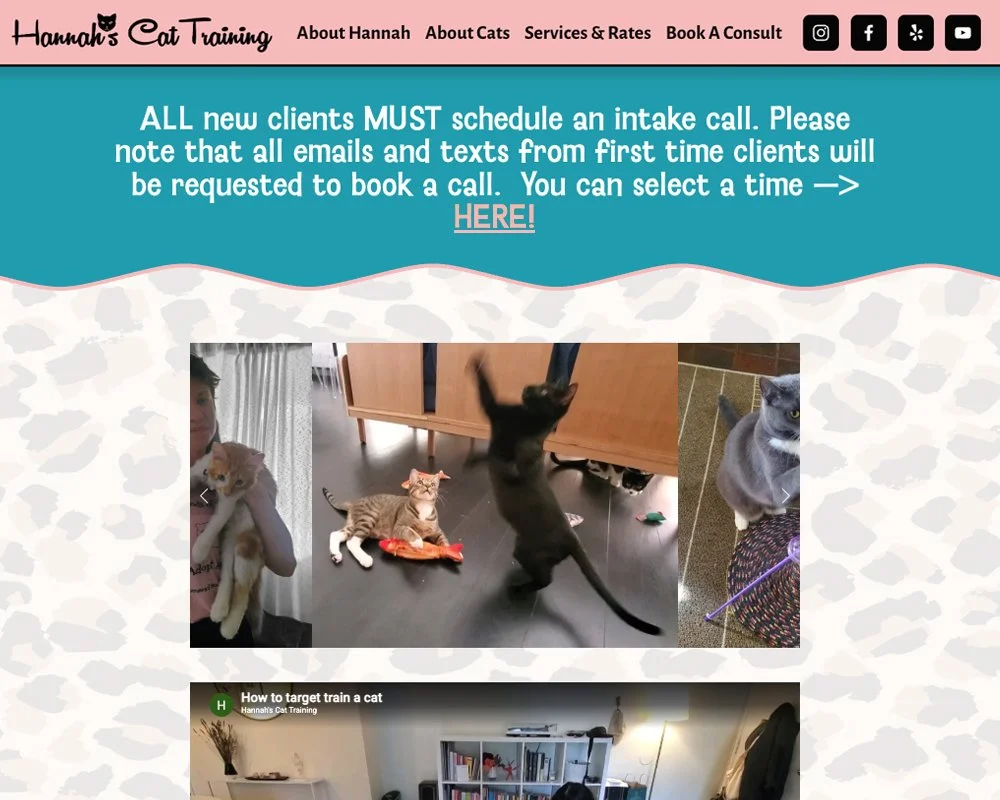 HannahsCatTraining.jpg