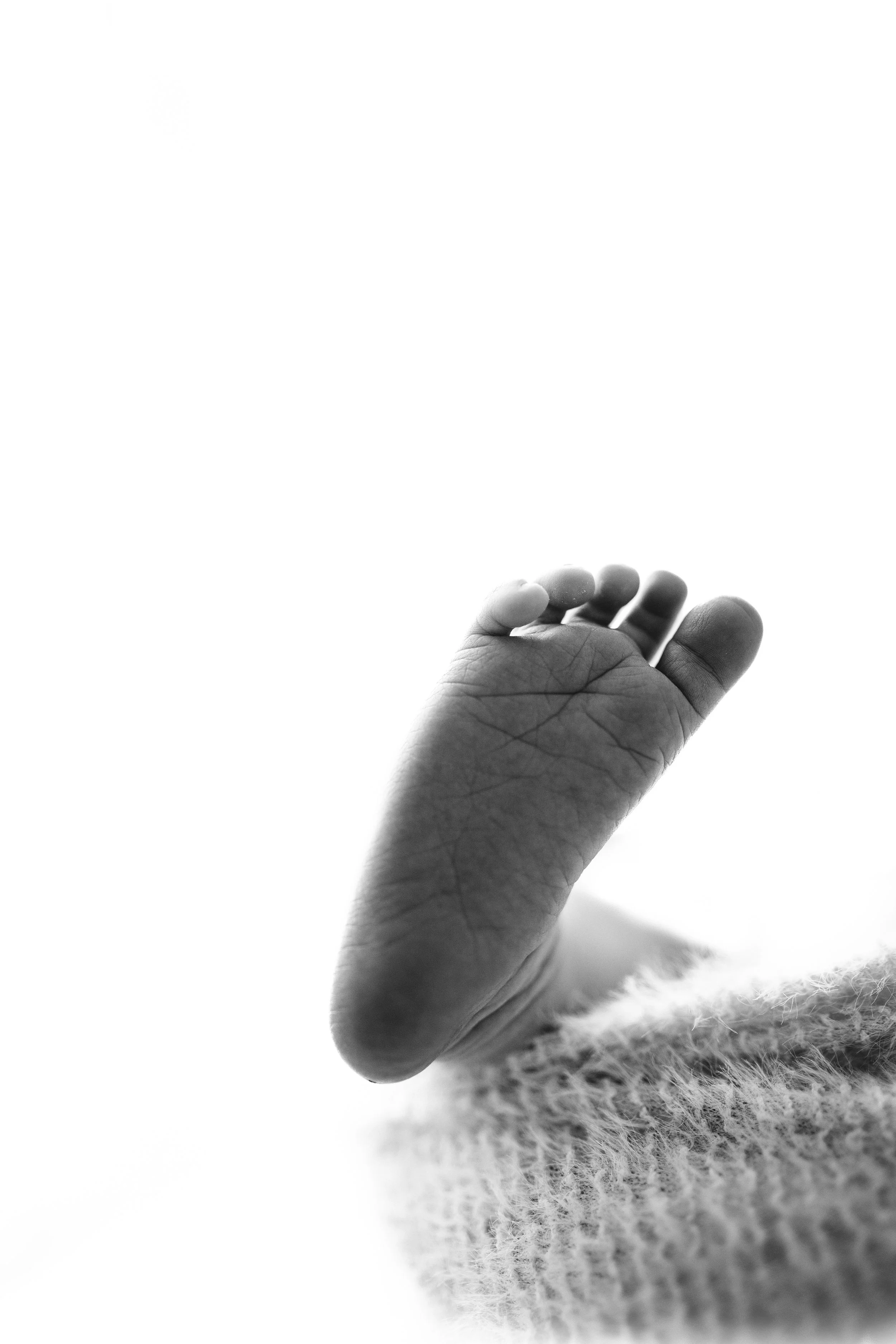 maternity and newborn photography packages near me