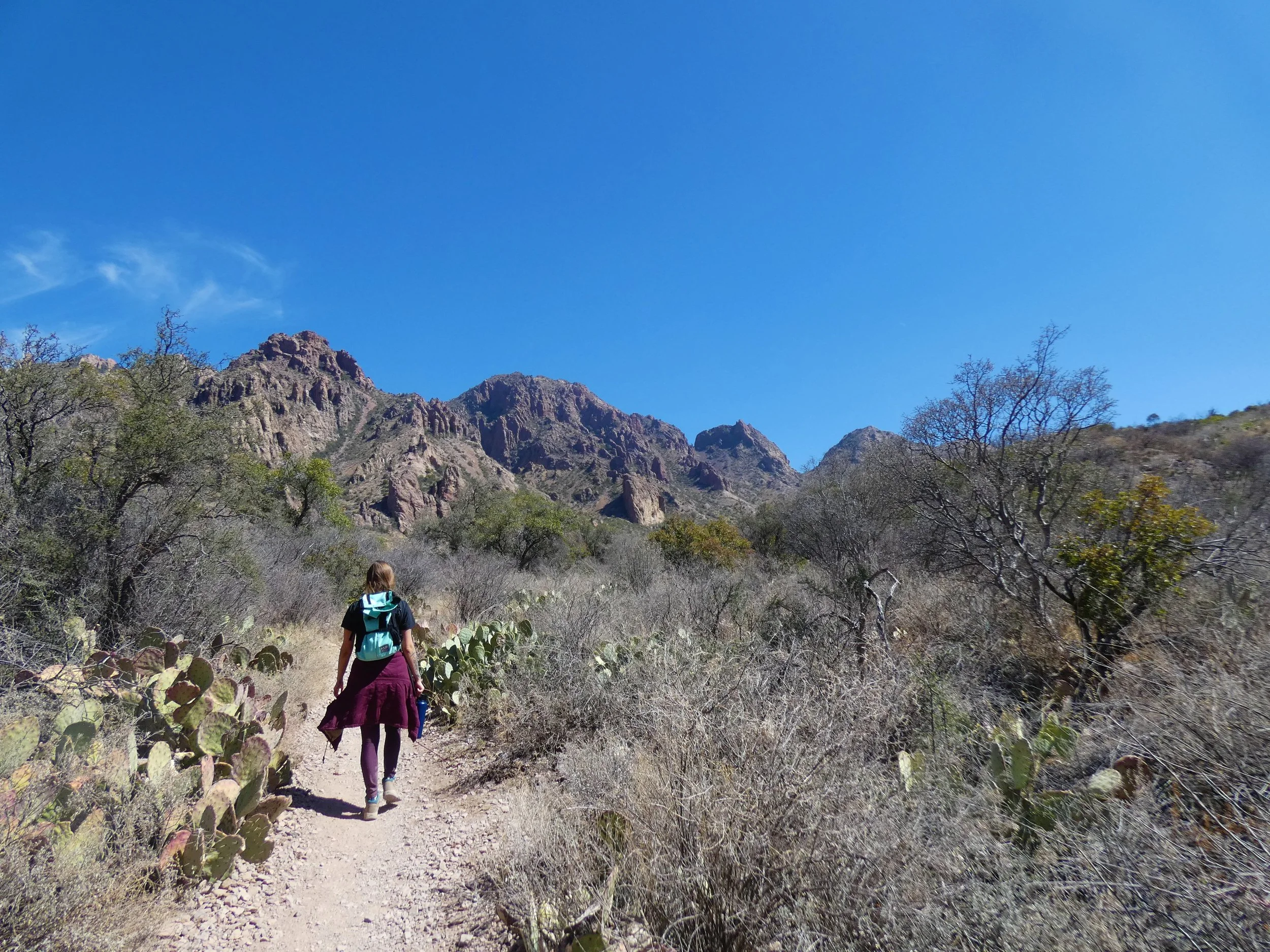 Hiking Big Bend National Park: The Window Trail - TRAVEL WITH MIKE & DEE
