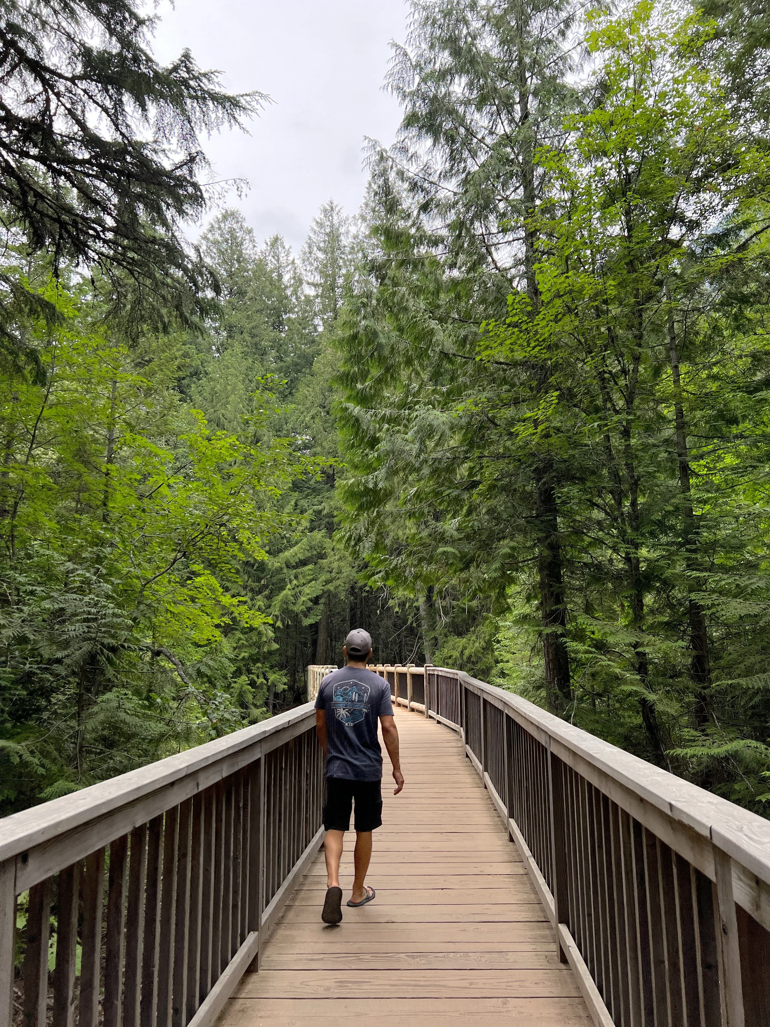 glacier national park 