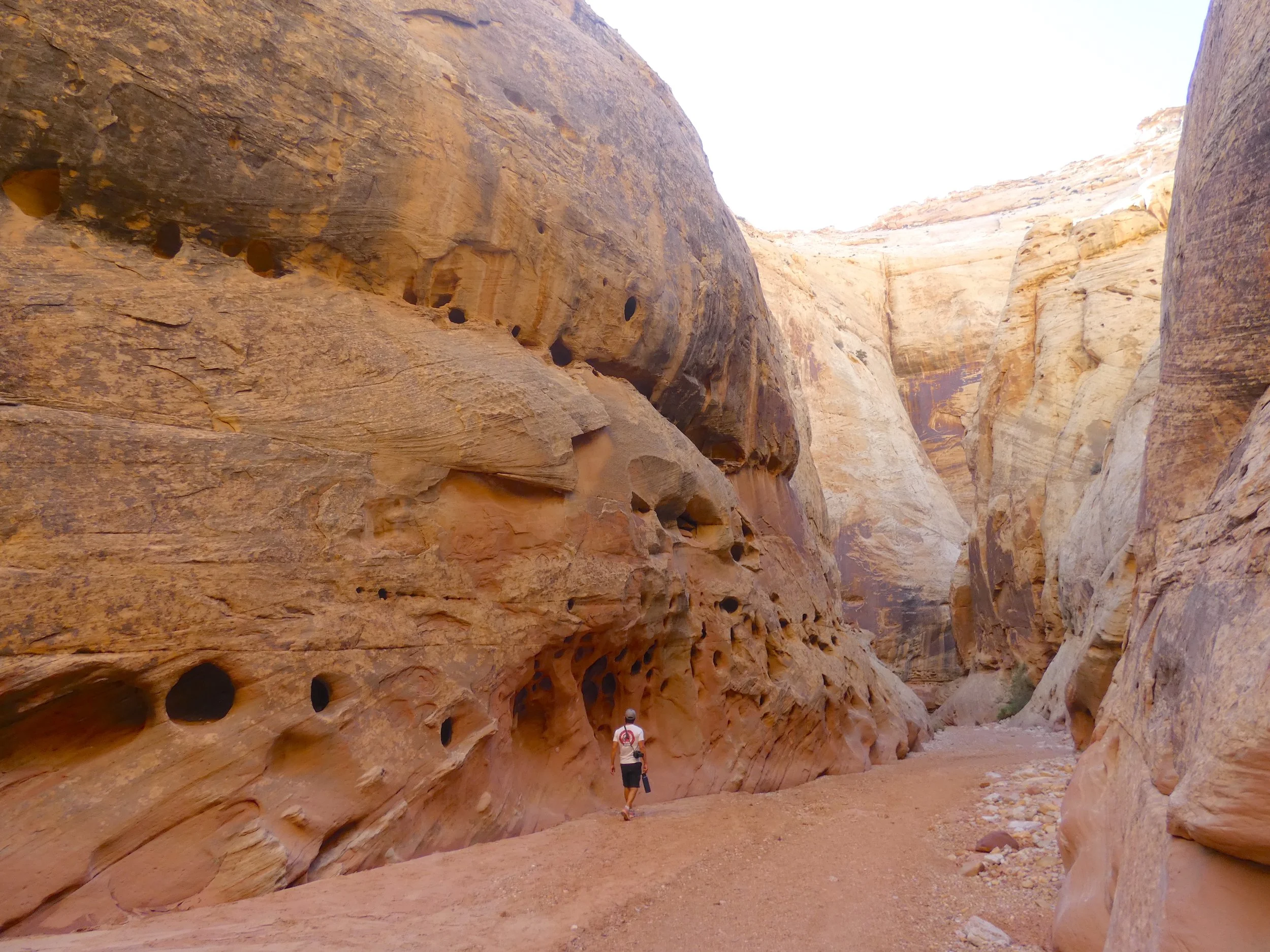 capitol reef national park
