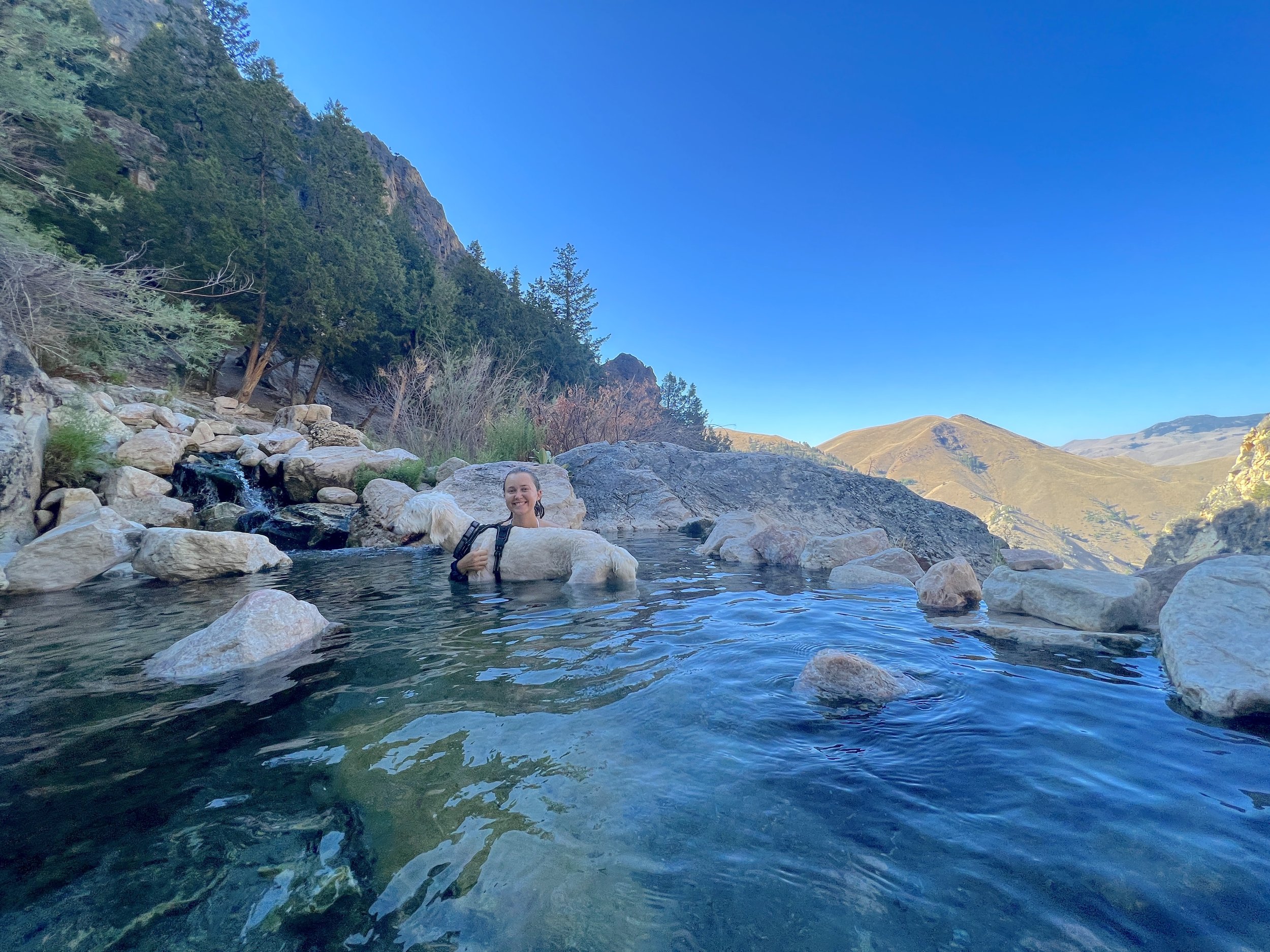 goldbug hot springs