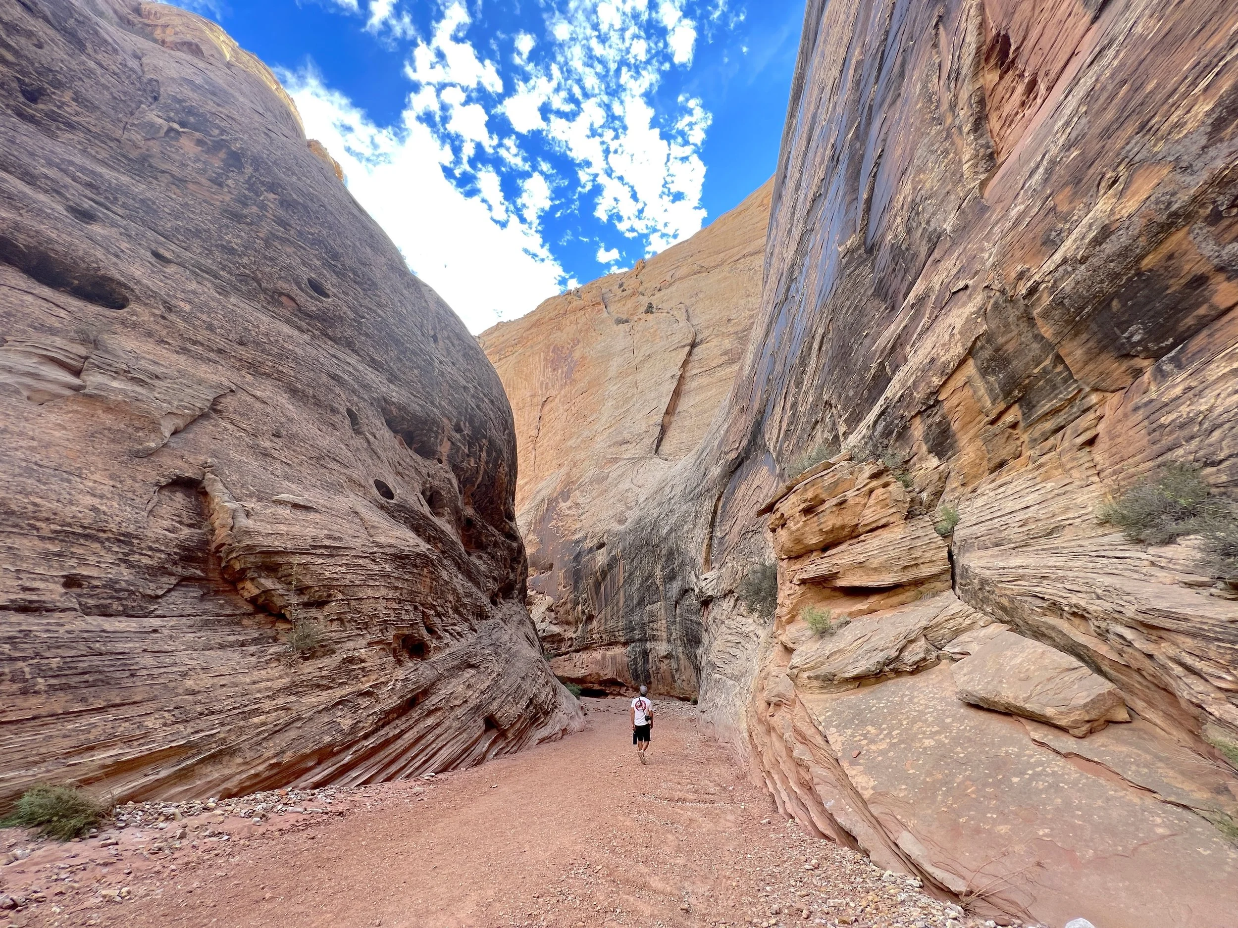 capitol reef national park