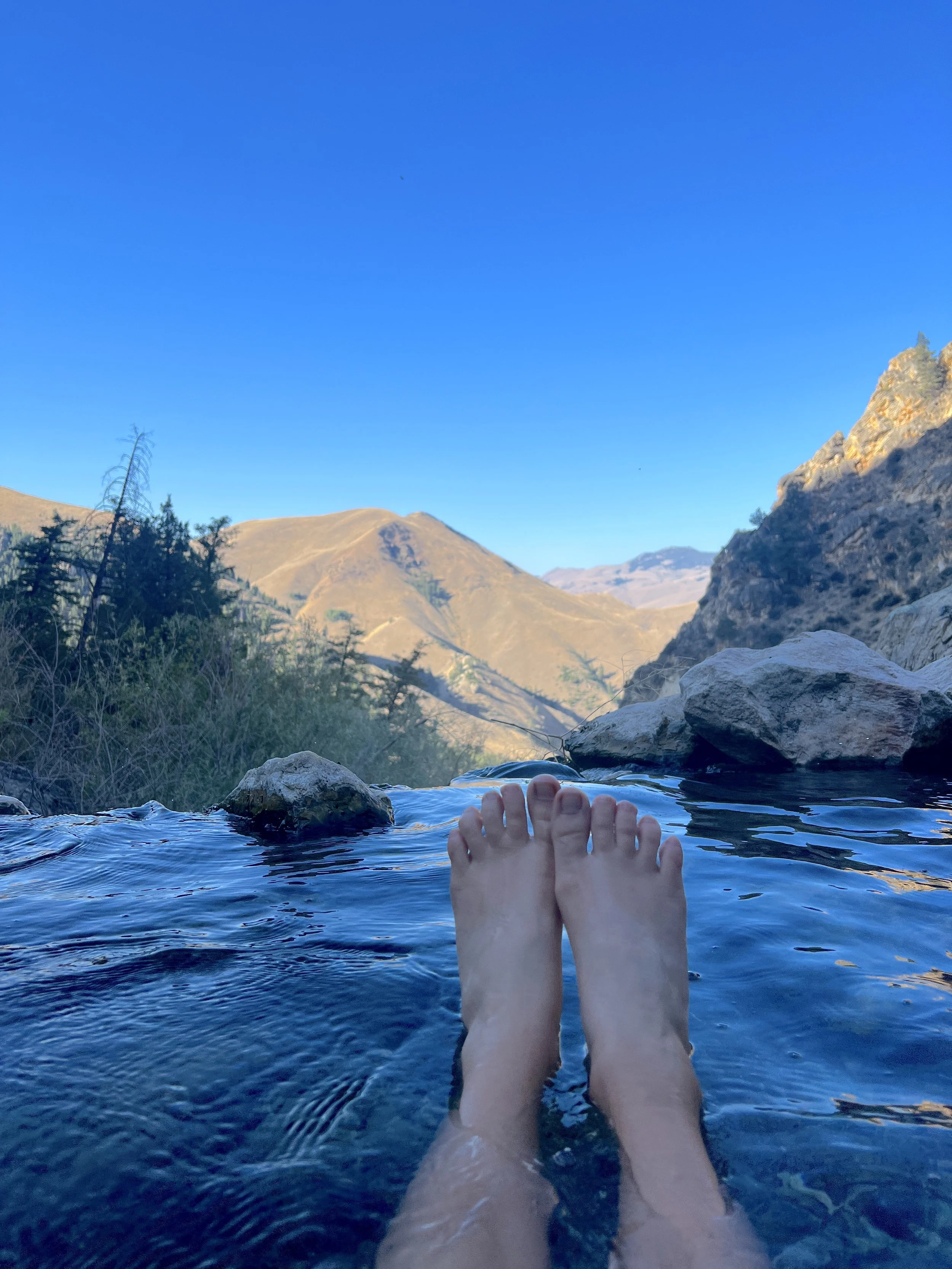 goldbug hot springs