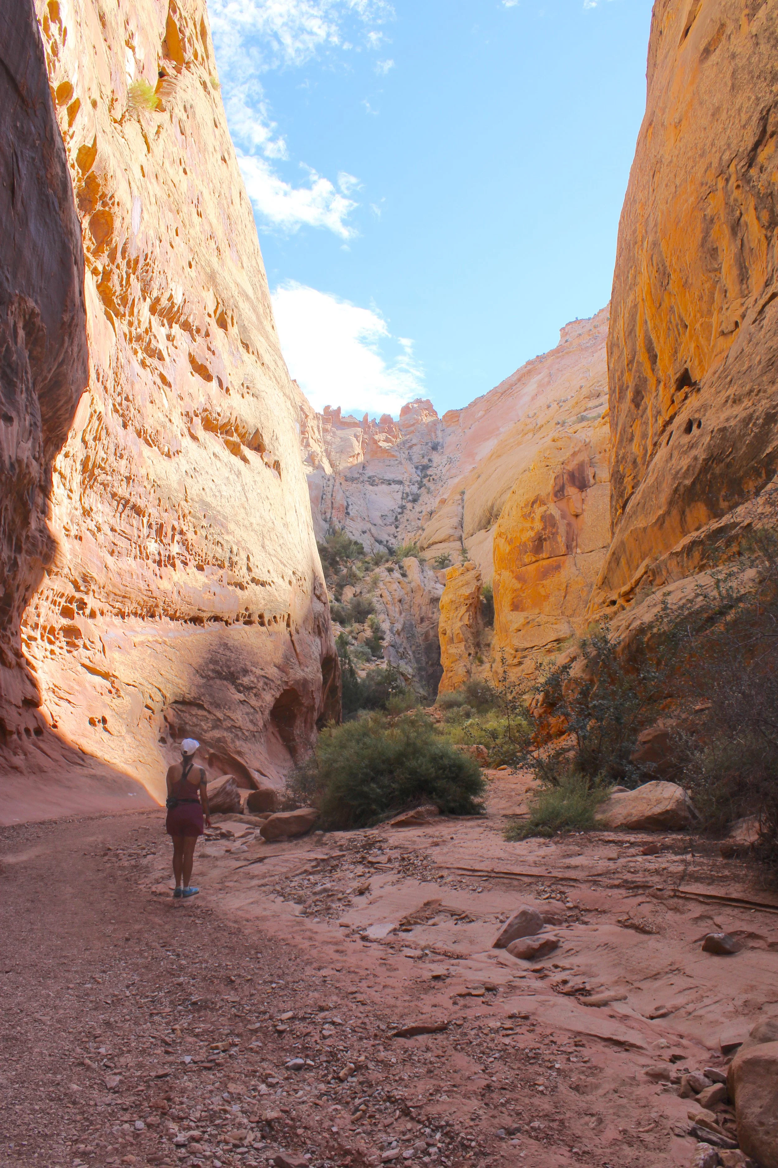 capitol reef national park