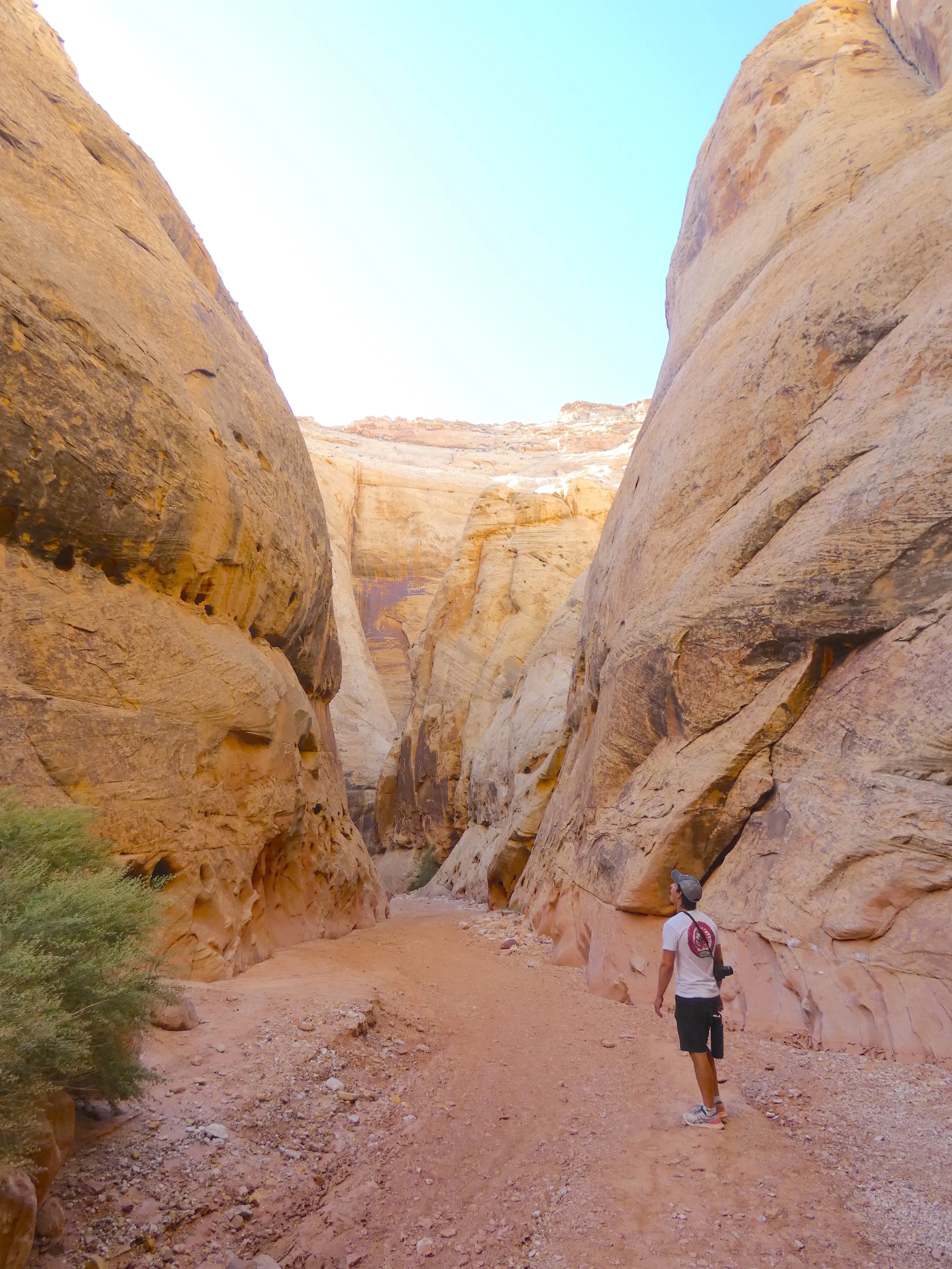 capitol reef national park
