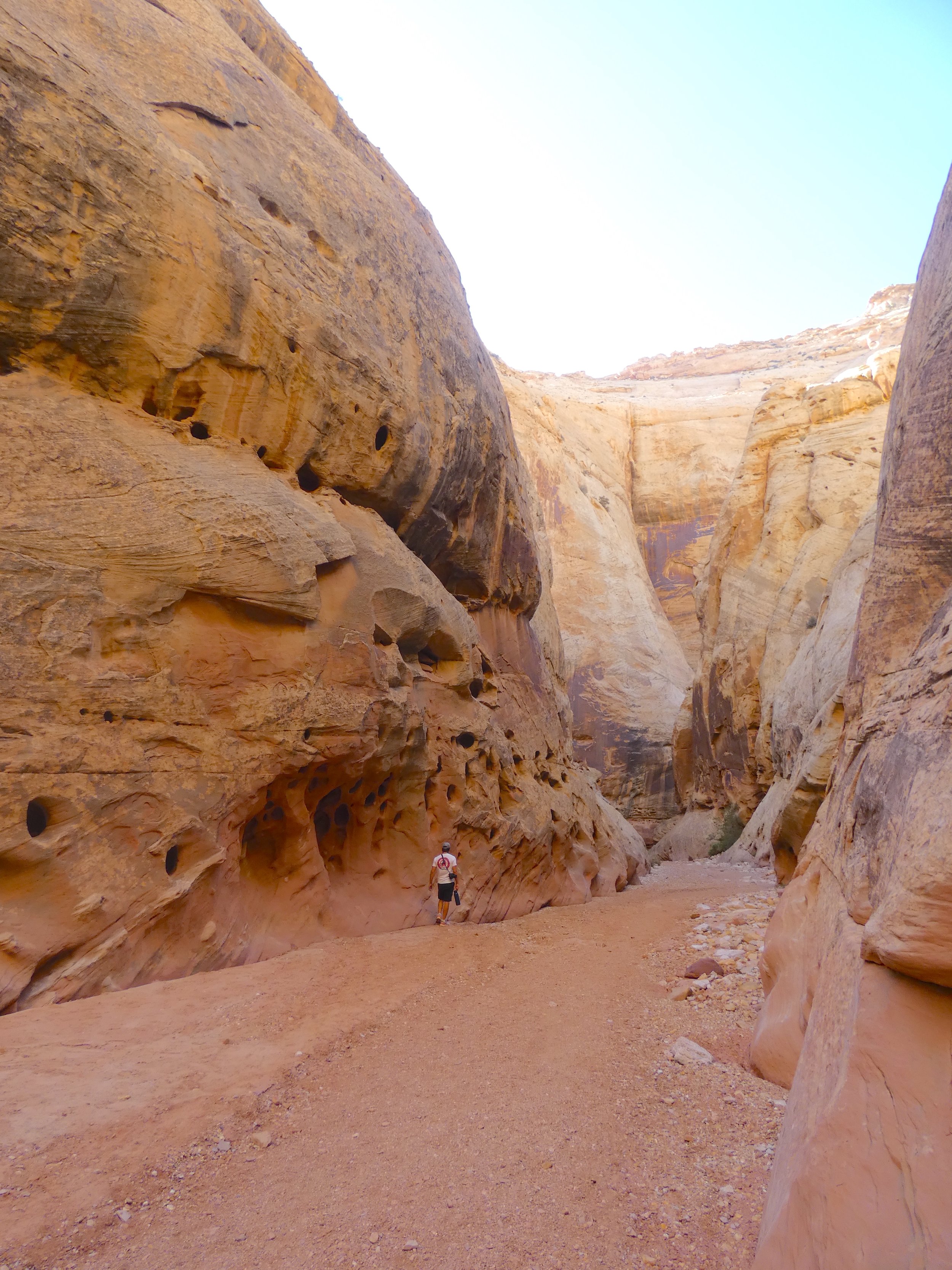 Capitol Reef National Park Grand Wash Trail DEANDRA MIKE