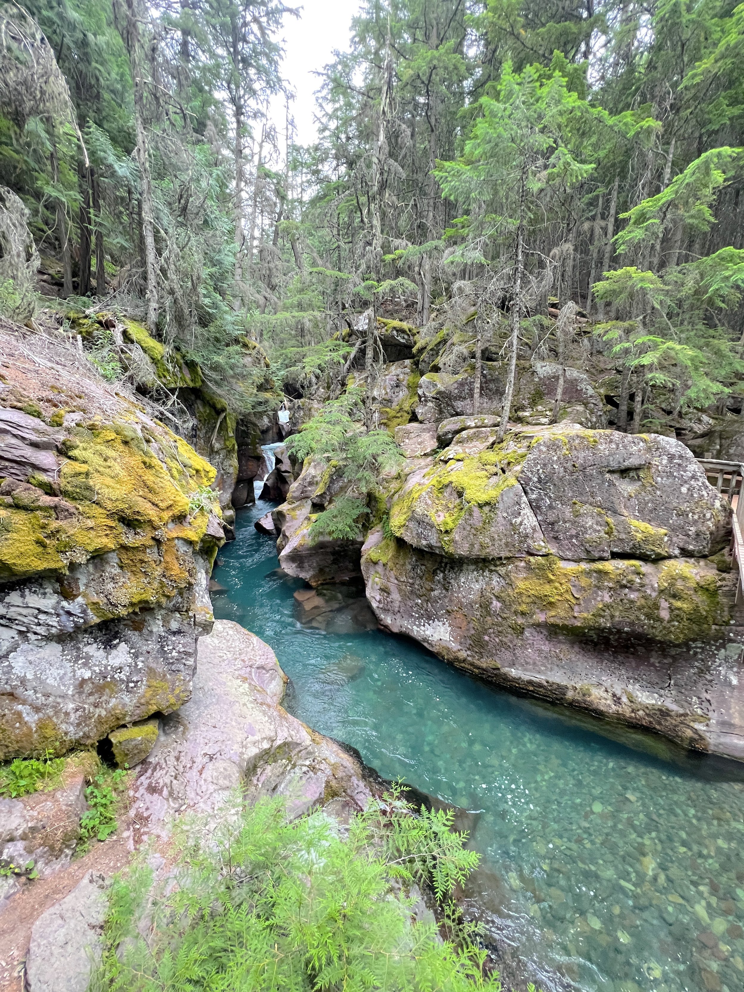 glacier national park 