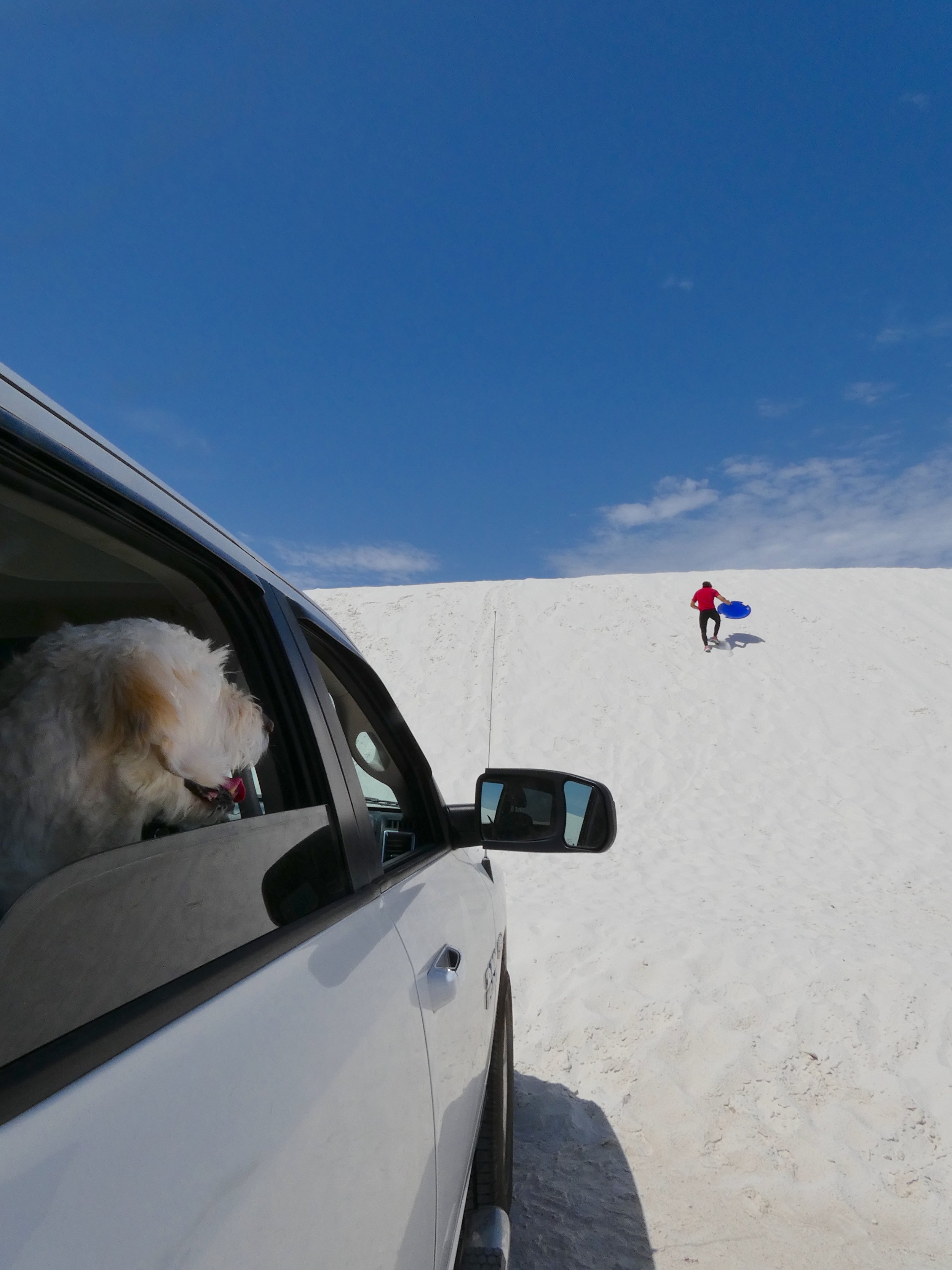 sledding white sands national park dunes