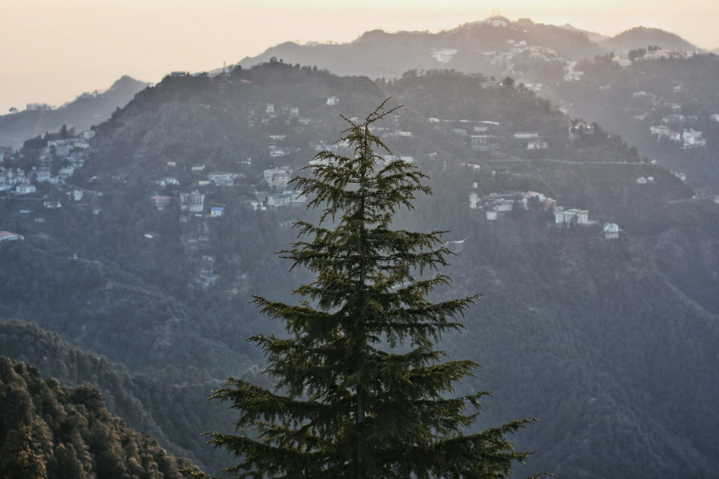 Pilgrimage to Lebanon