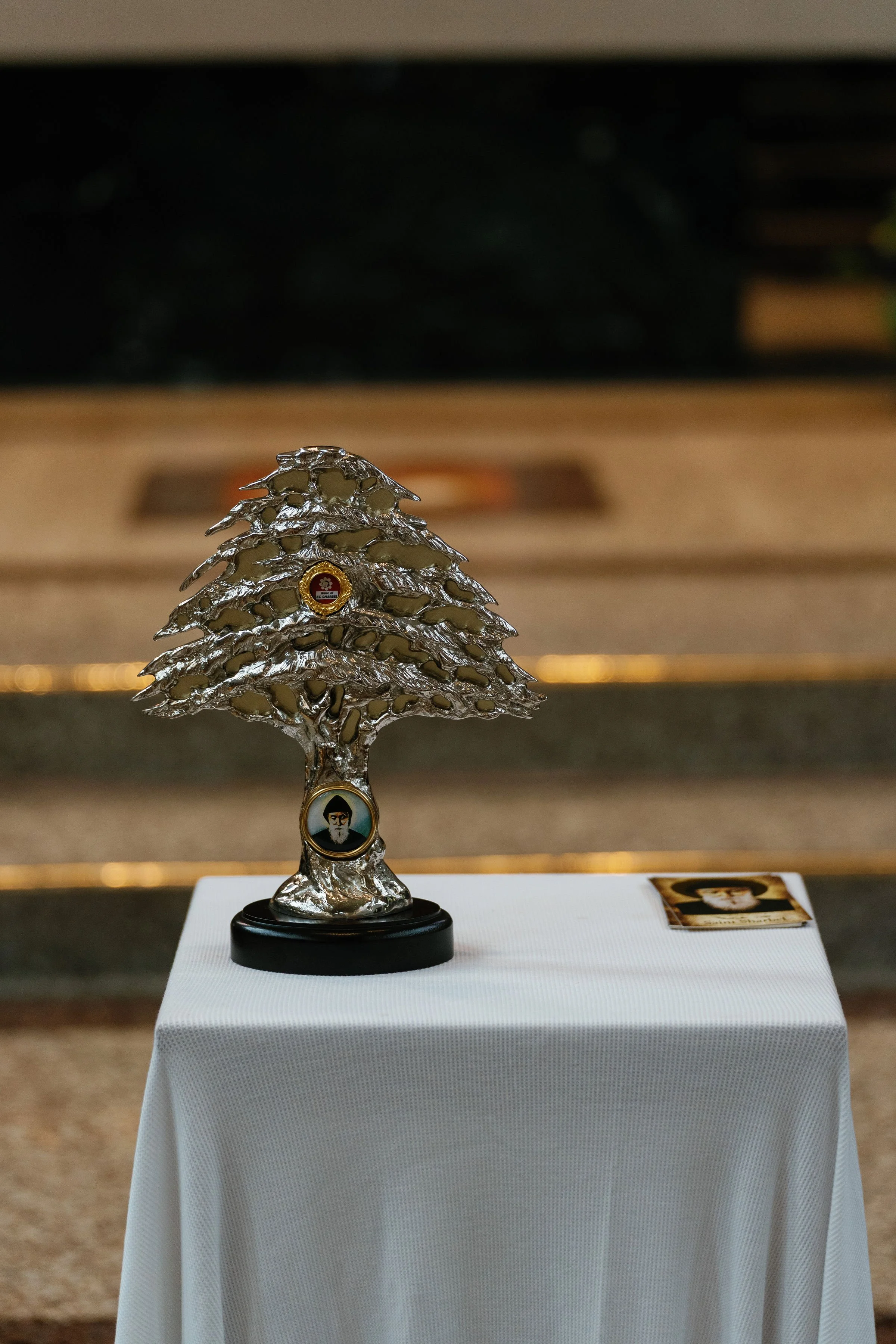 stcharbelhealingmassfinished-rlombardi-525.jpg