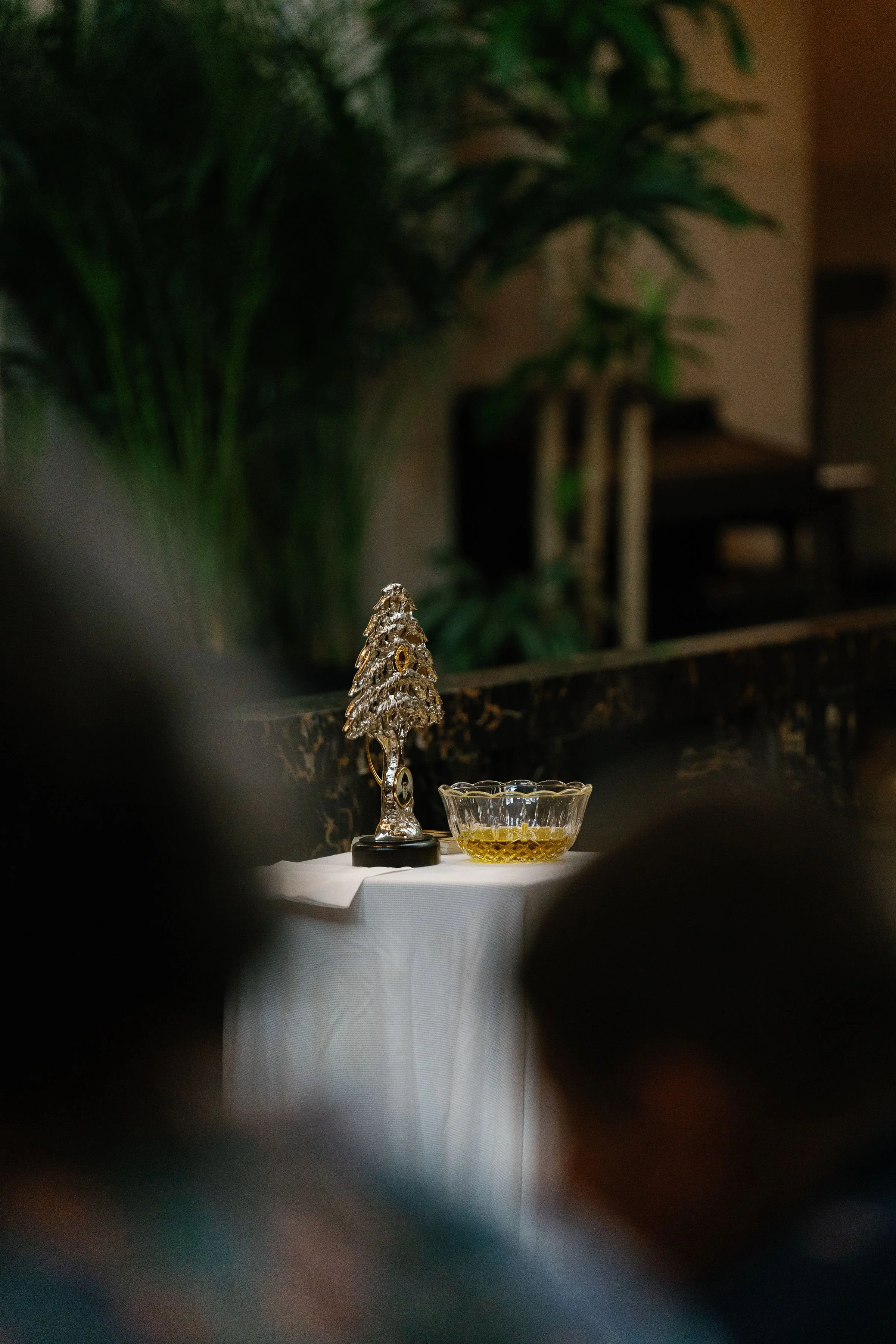 stcharbelhealingmassfinished-rlombardi-419.jpg