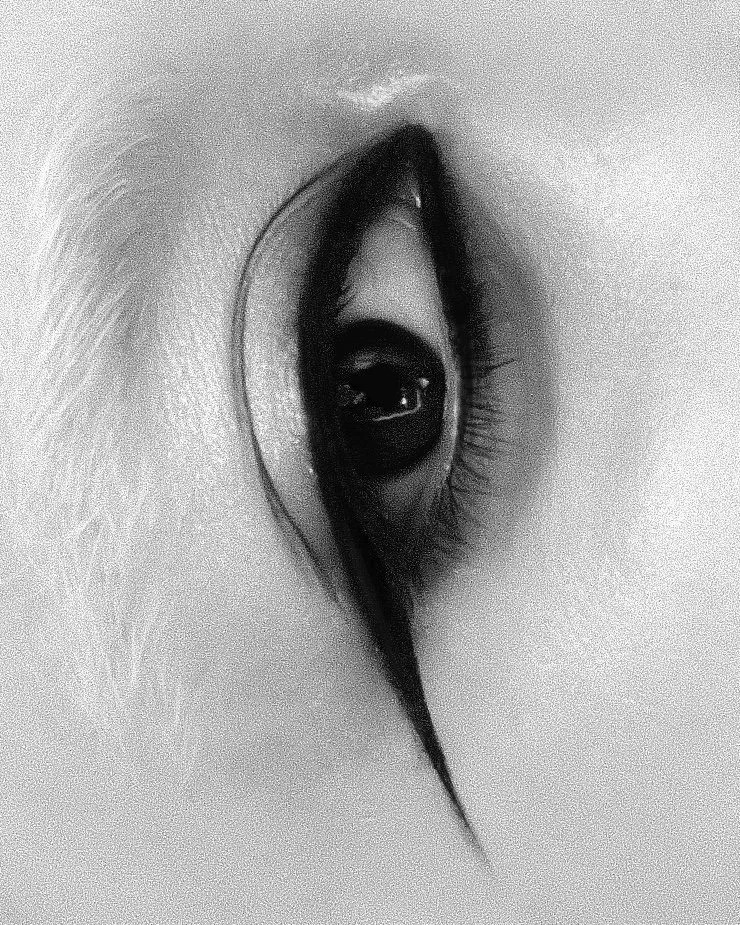 Nao 09:23 ph. Luna Betsch.jpg