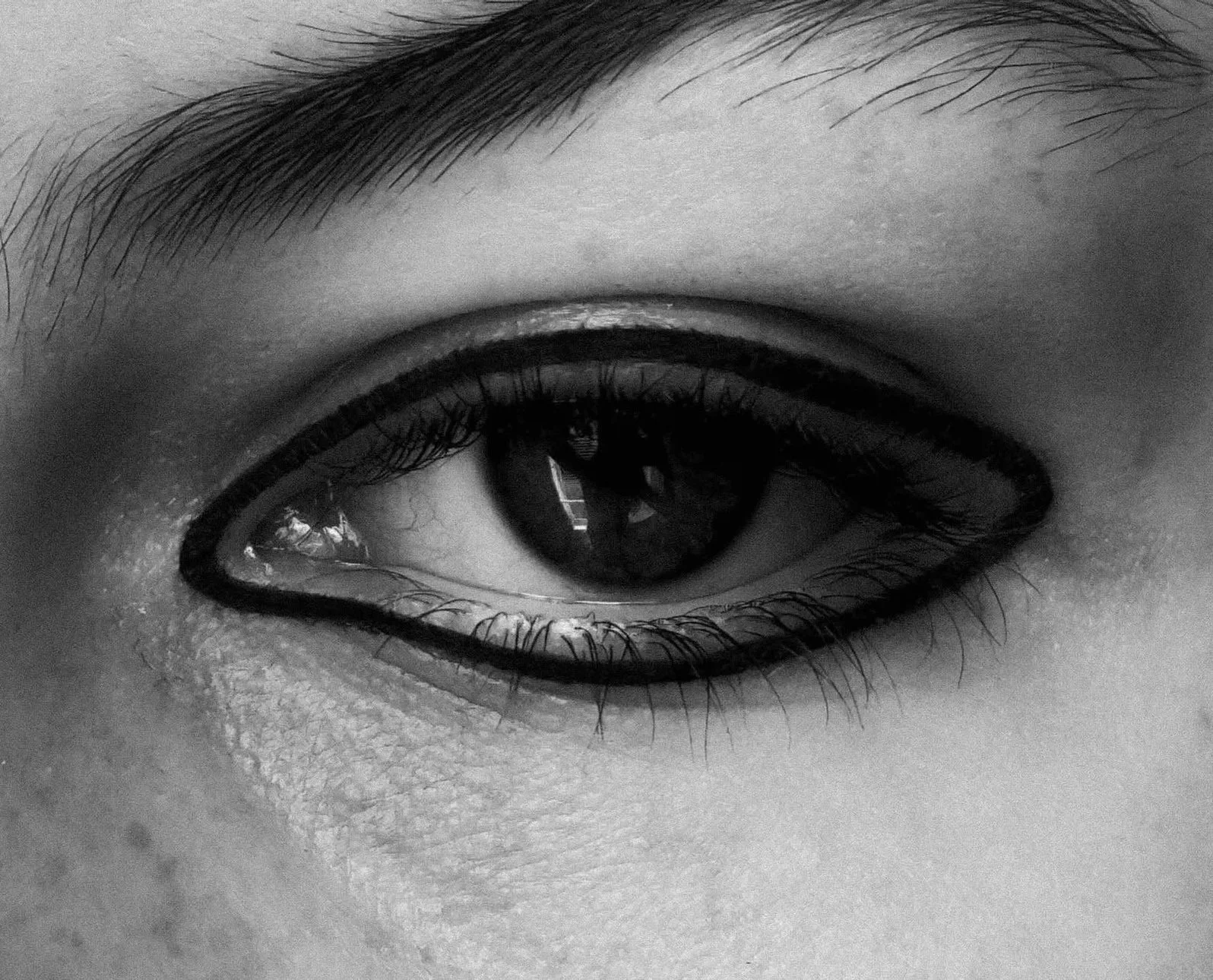 IMG_3603+2.jpg