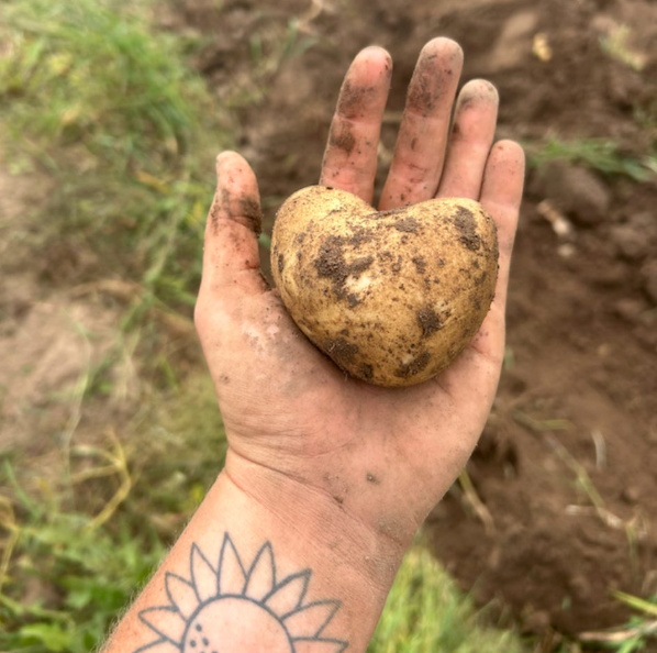 Poetics of Place: Writing at the Intersection of Ruralness & Queerness, with KD Hackworthy