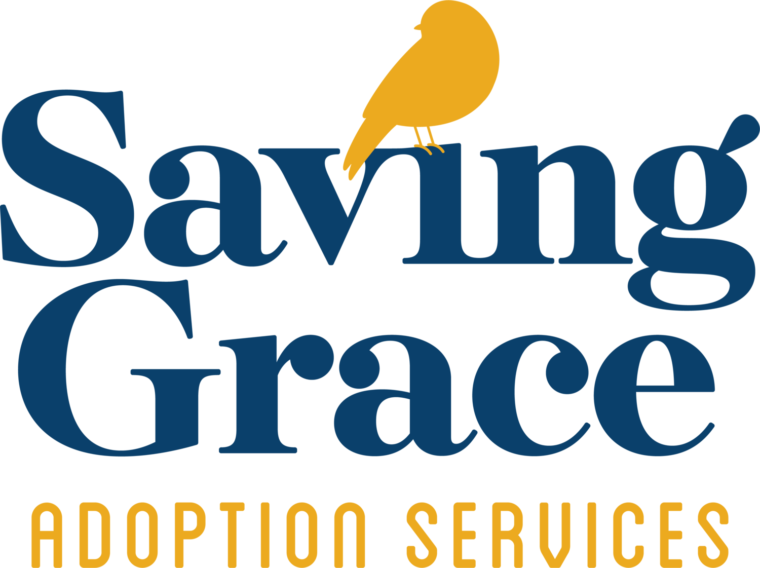 Saving Grace Adoption Services