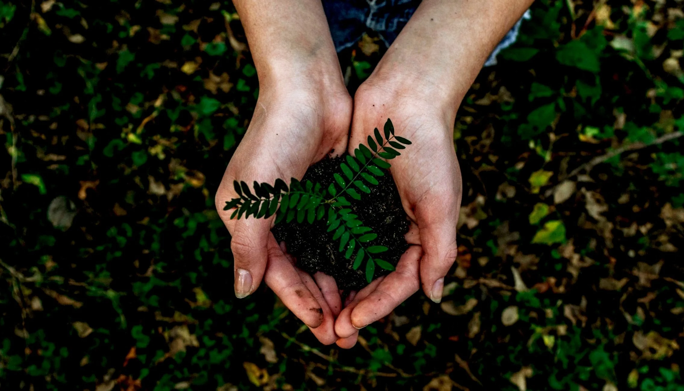 green, ecofriendly practices