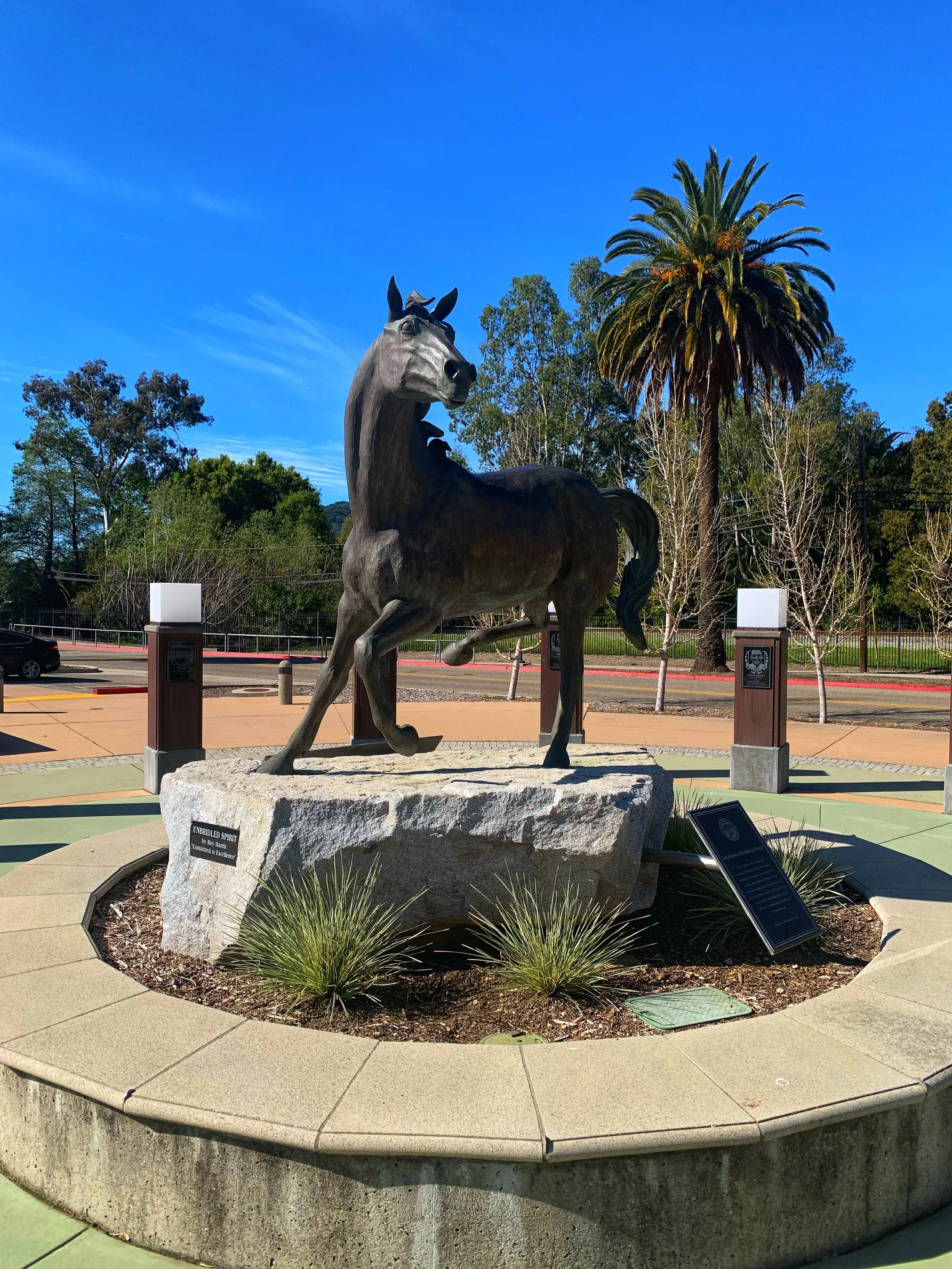 Cal Poly Wine &amp; Vit