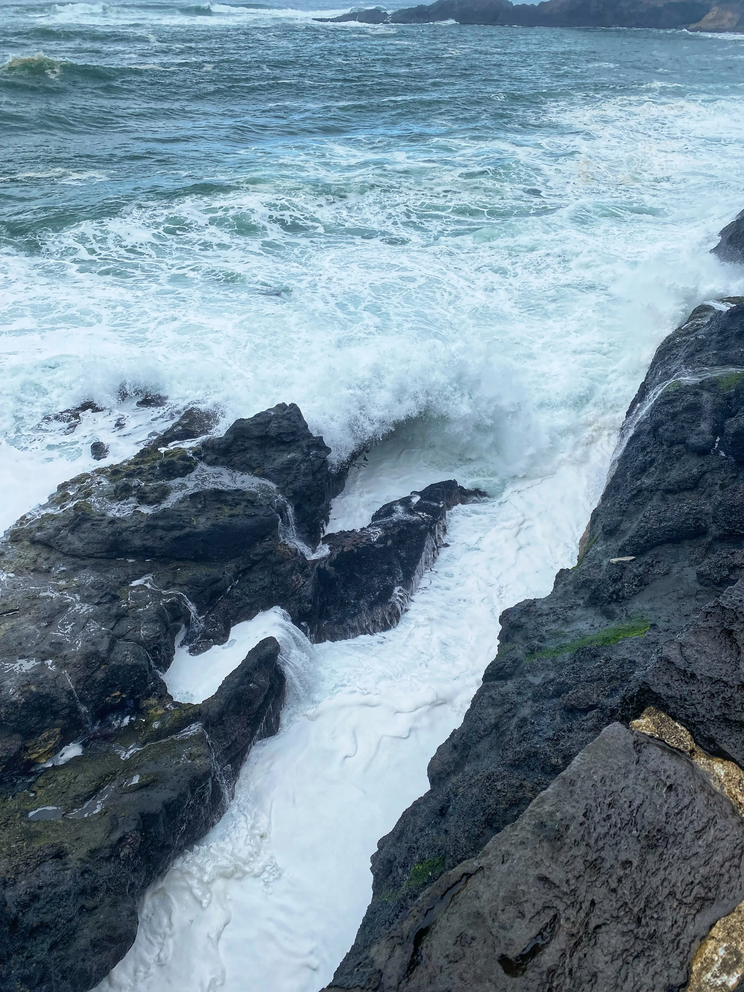 Oregon Coast Rocks