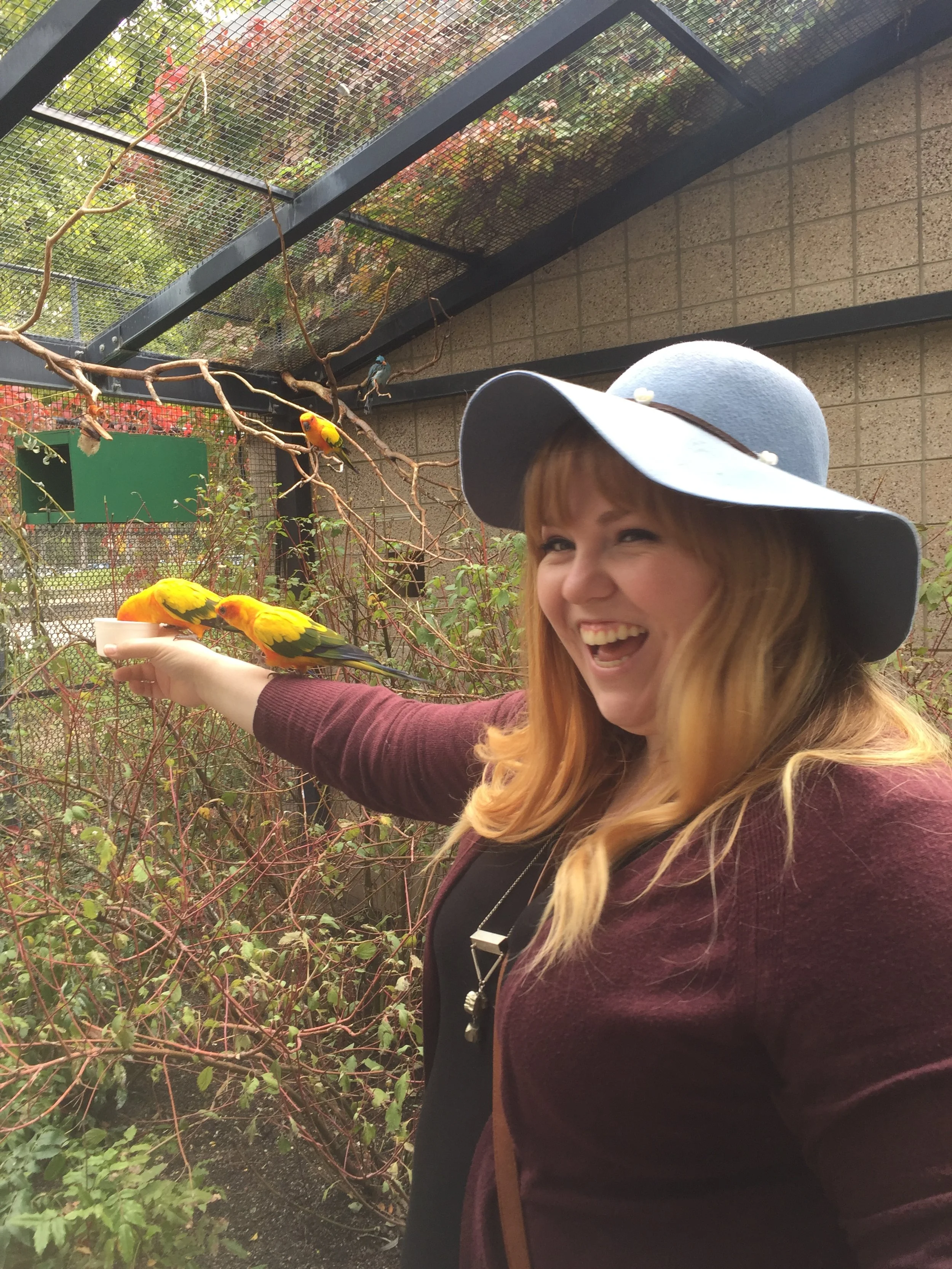 The Tracy Aviary in Salt Lake