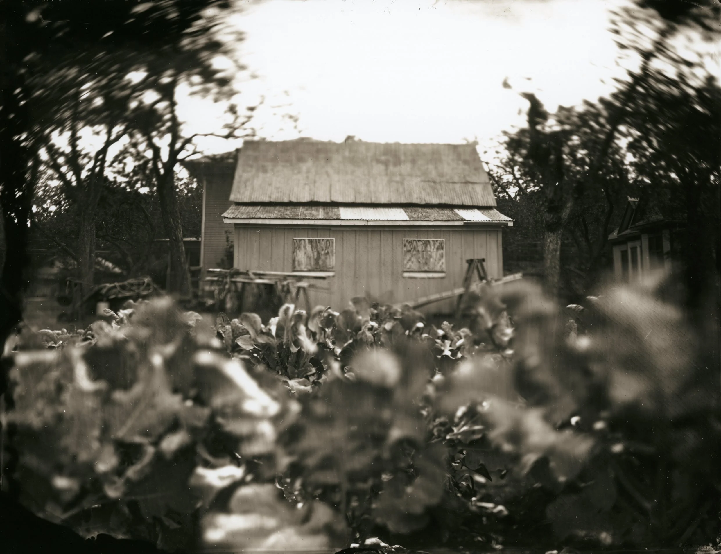 The Herb Garden