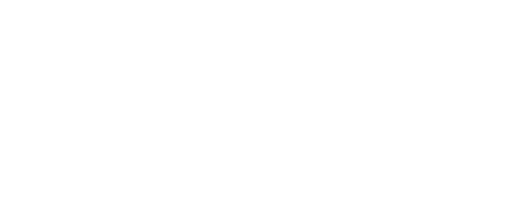 Function Logo Transparent.png