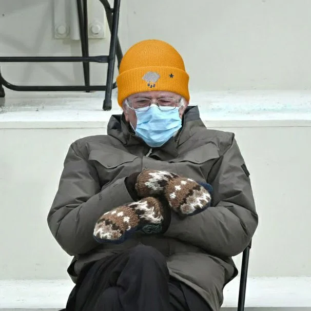 BernieBeanie.jpg