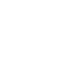 The AKW coin in white