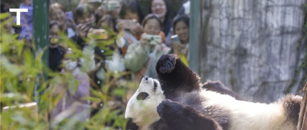 它们也会恐惧：气候变化时代的动物园