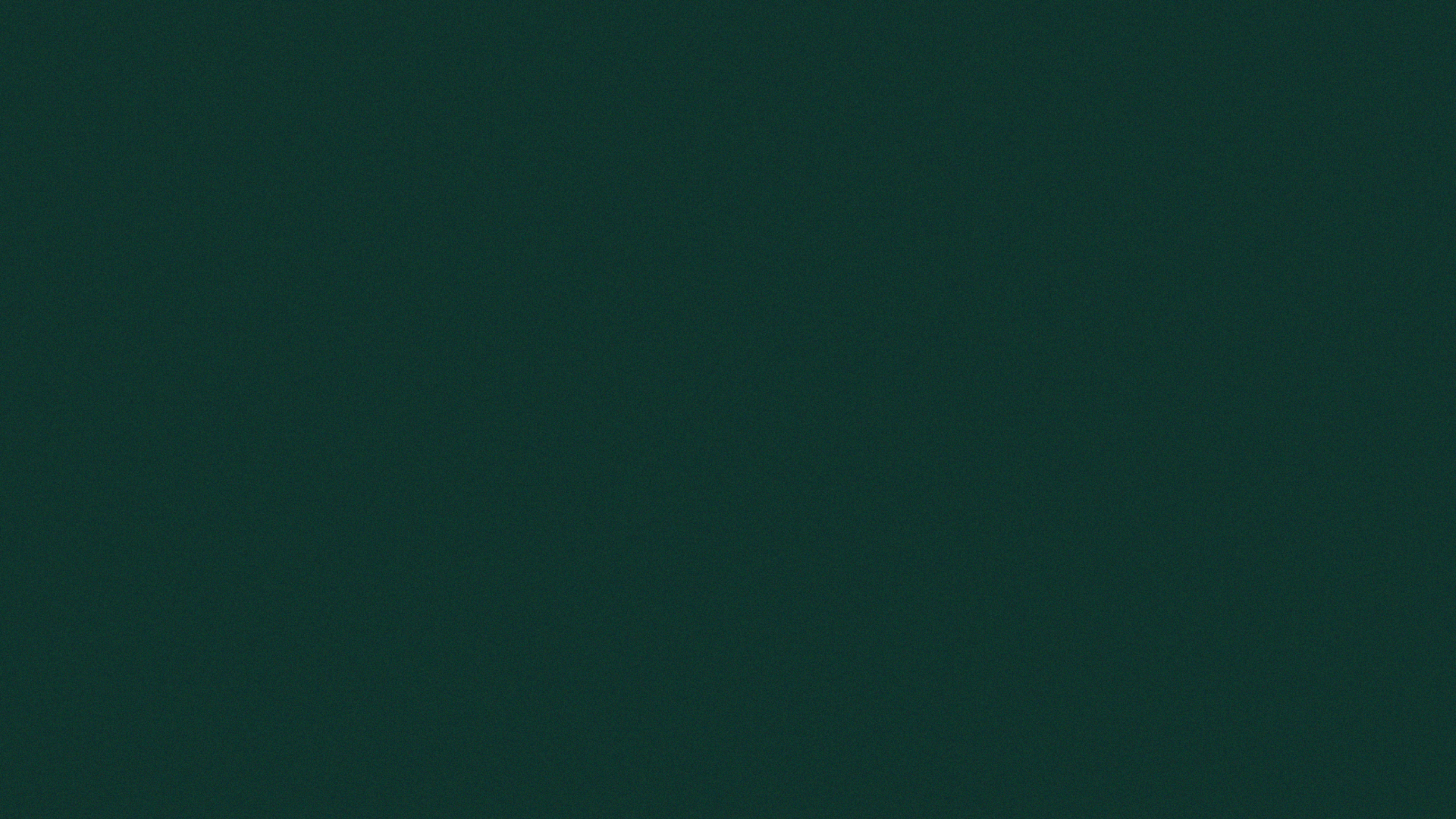 TFS-Background-01.png