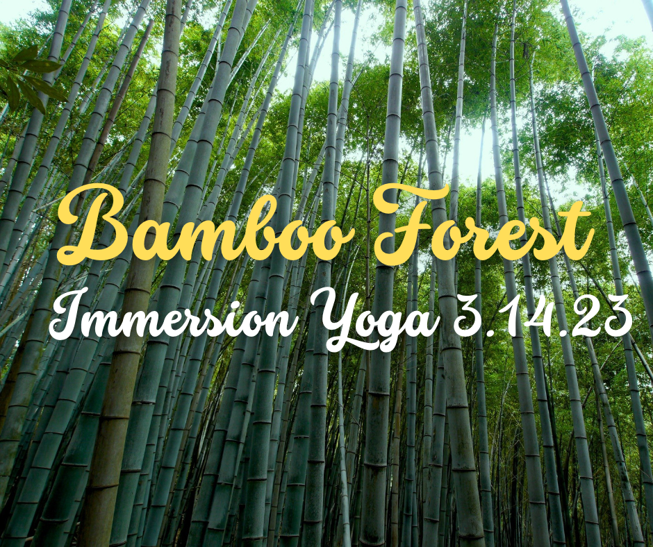 Immersion Yoga: Bamboo Forest