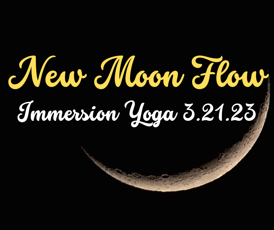 Immersion Yoga: New Moon Flow
