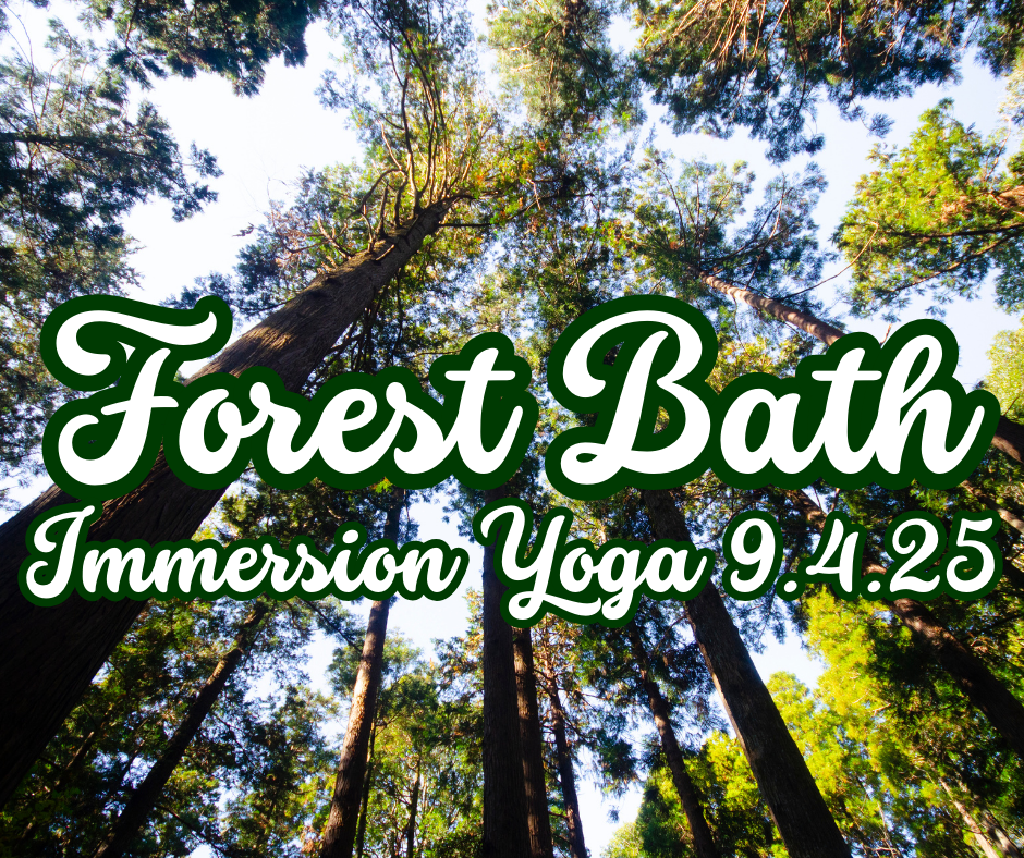 Forest Bath Flow