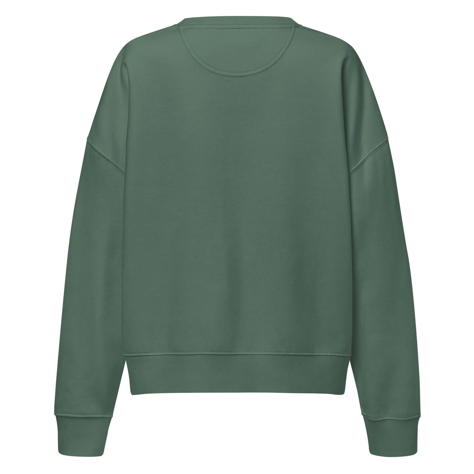 womens-organic-crew-neck-sweatshirt-green-bay-back-697a8b2f18b3e.jpg