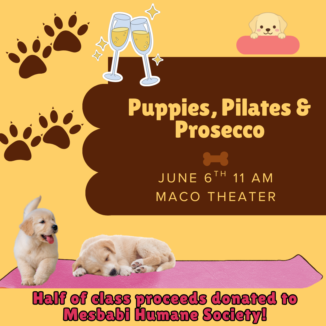 Puppies, Pilates, Prosecco (Facebook Post (Square)).png