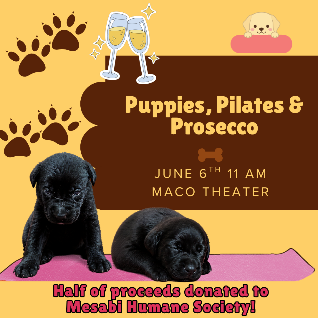 Puppies, Pilates, Prosecco (Facebook Post (Square)) (1).png