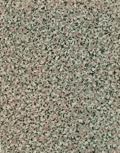 3012.jpg