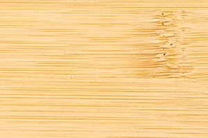 Traditional_PV_FGN_Thumbnail_300x199.jpeg