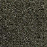 PG137 Carbon Shimmer