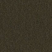 PP142 Dusk Pearl