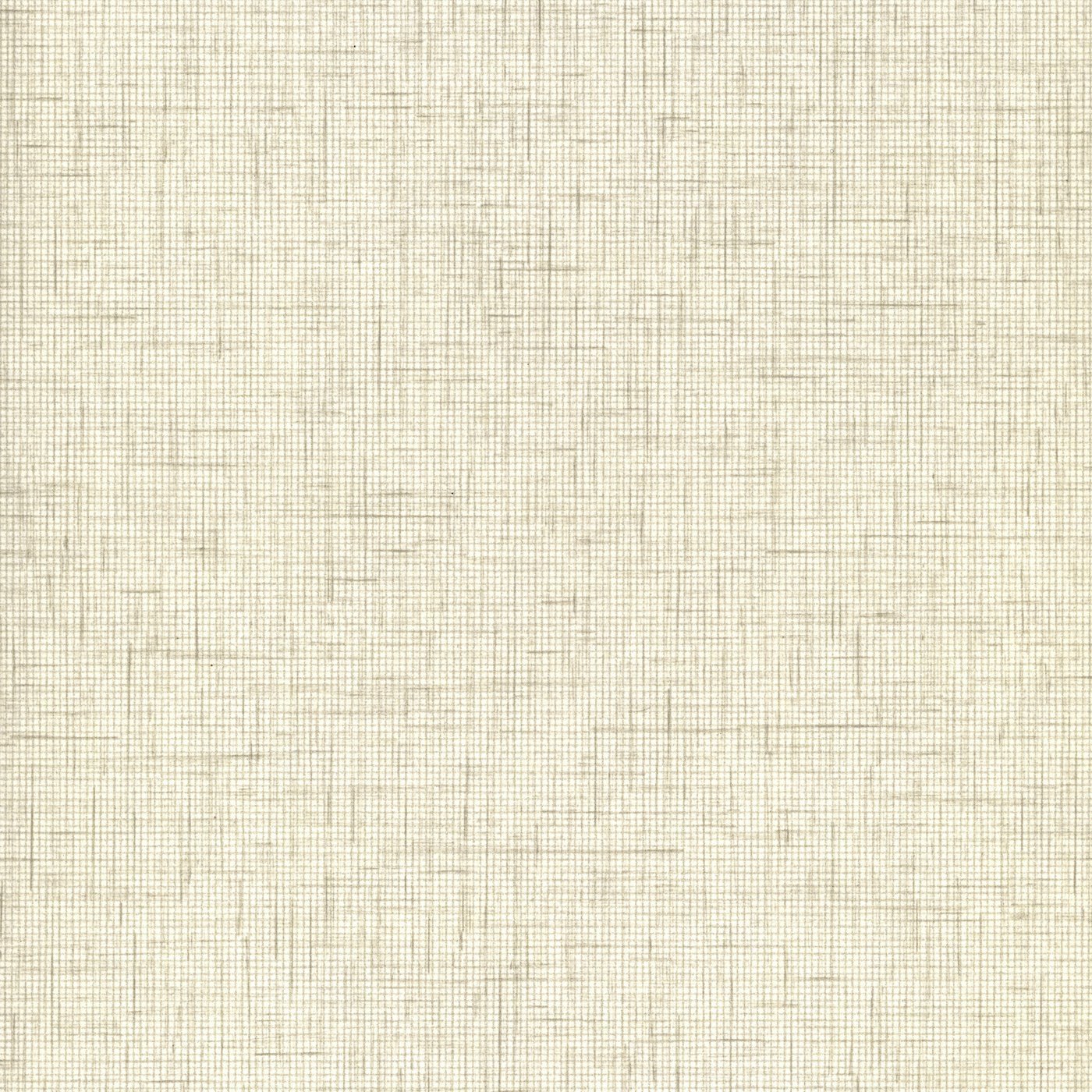 PG049 Fog Batiste