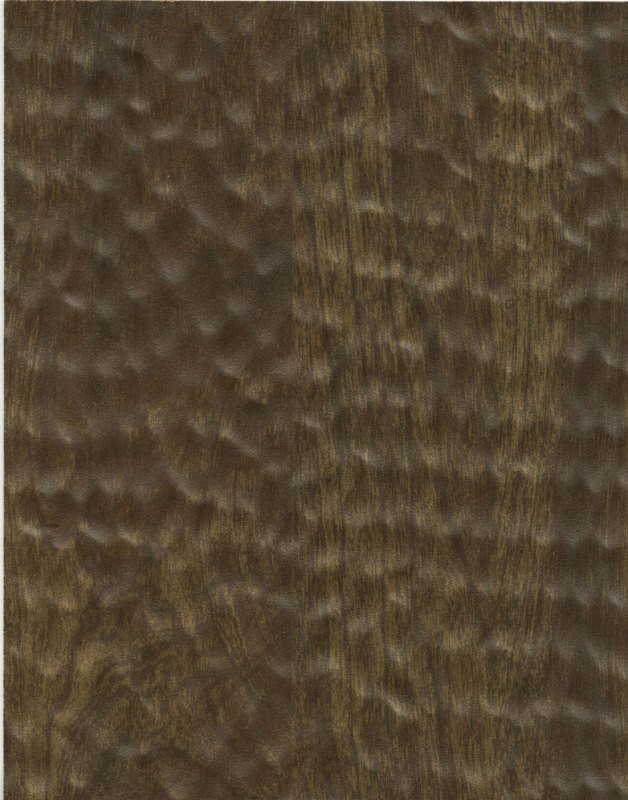 WH172 Walnut Bog