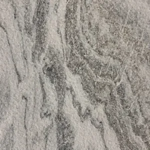 Mountain Lion- Raw Marble